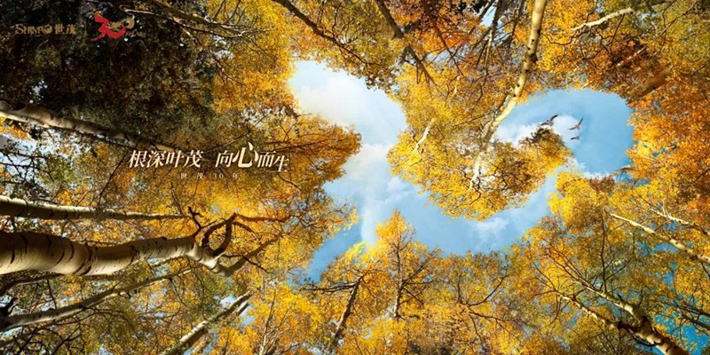 球王会体育在线建设成功获批132亿公司债券