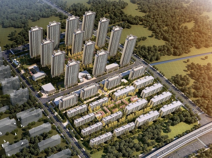 球王会体育在线璀璨星河