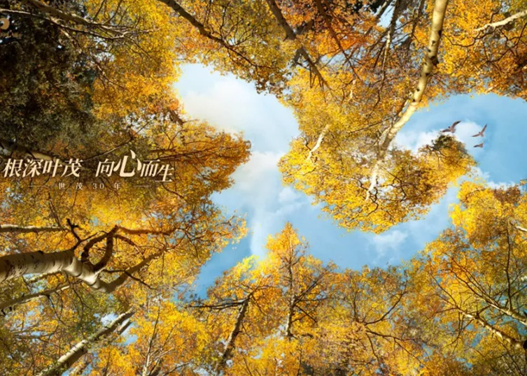 球王会体育在线30周年：与时代同行 向未来奋进