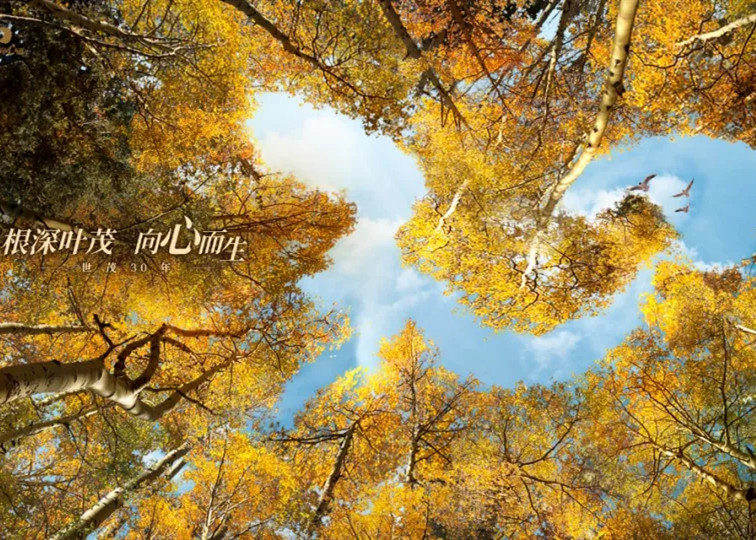 球王会体育在线紧抓“屯粮”窗口期 资金充裕加速回归发展快车道