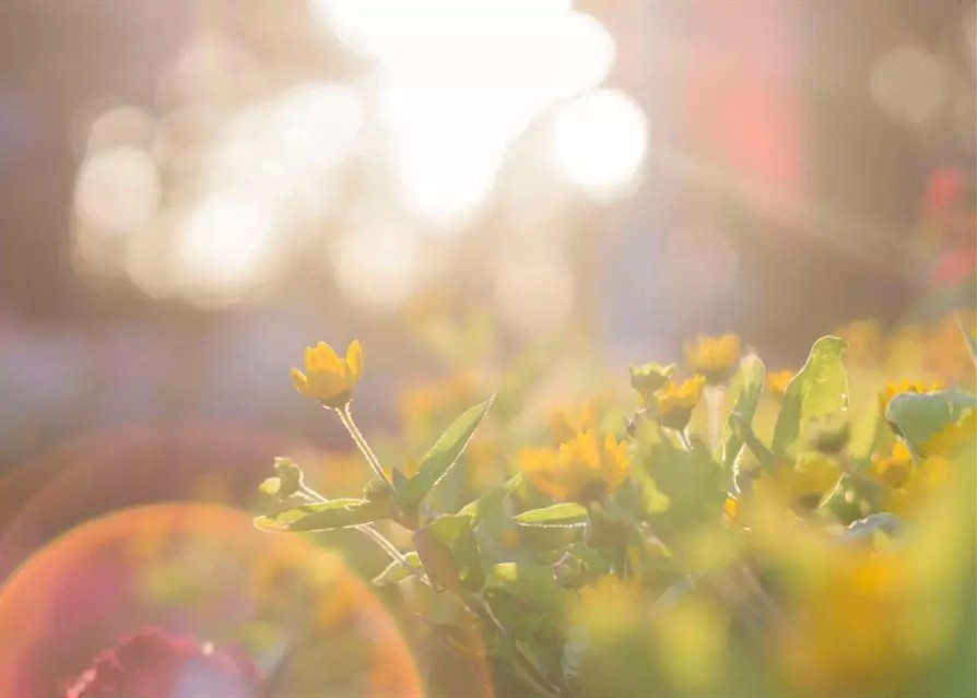 中华慈善日 | 感受，球王会体育在线的温度