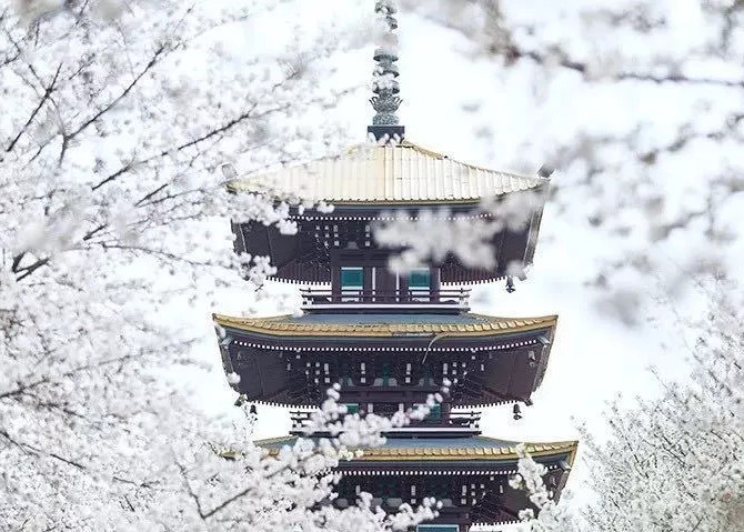 想见你，一起去做这些温暖而美好的小事