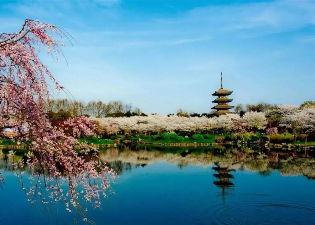 球王会体育在线10.43亿摘肇庆端州地标项目 需建250米超高层建筑