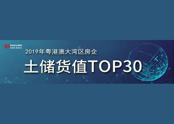 2019年房地产企业粤港澳大湾区土储货值TOP30