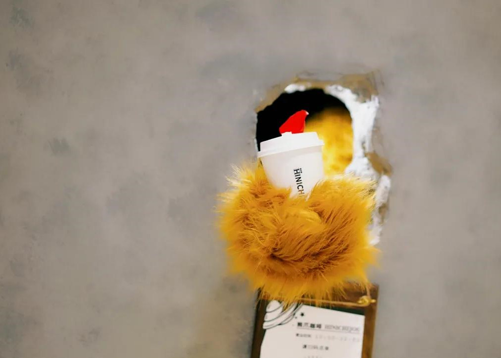 冬日暖阳！“熊爪咖啡”浦东首店落户滨江球王会体育在线52+