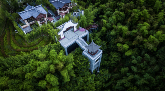 以责任赋能可持续发展 球王会体育在线荣获金瓴奖“2021年度绿色创新企业”